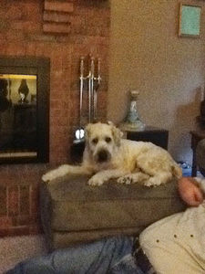 Meet your Posher, Peggy